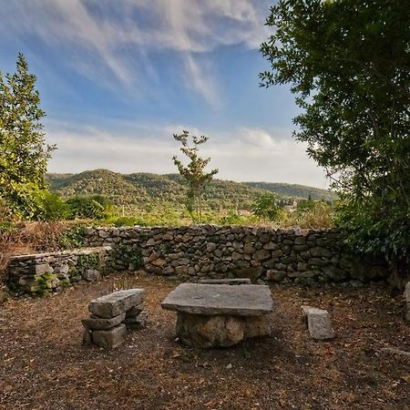 450 Year-Old House With A Garden Vila Stari Grad  Exterior foto